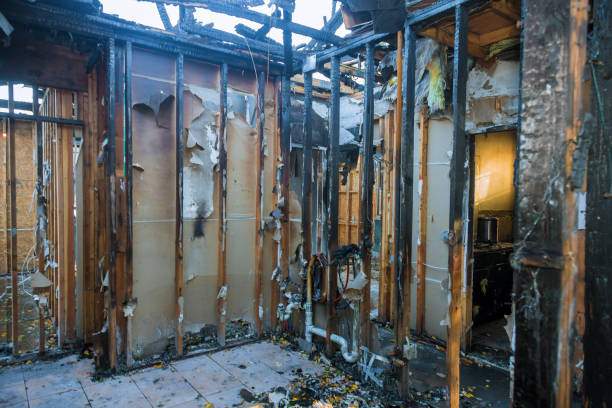 Professional Fire Damage Repair technician working in Brownton, MN